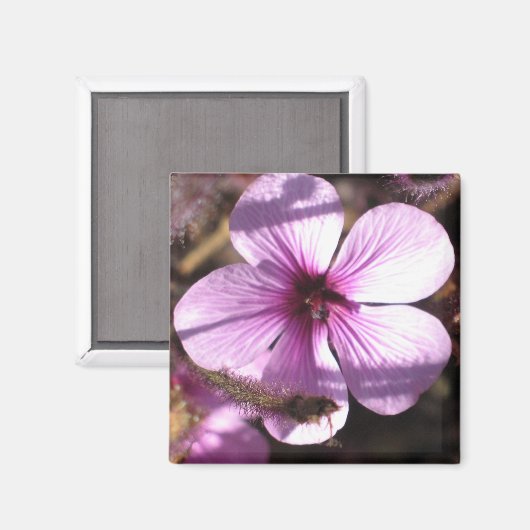 Geranium Magnet (Vorderseite/Rückseite)