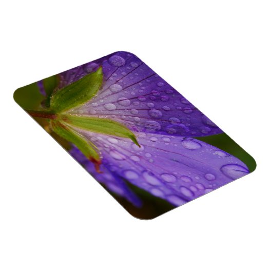 Geranium Magnet (Rechte Seite)
