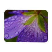 Geranium Magnet (Horizontal)