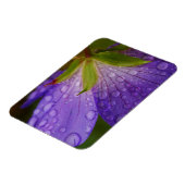 Geranium Magnet (Linke Seite)