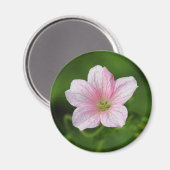 Geranium Magnet (Vorderseite/Rückseite)