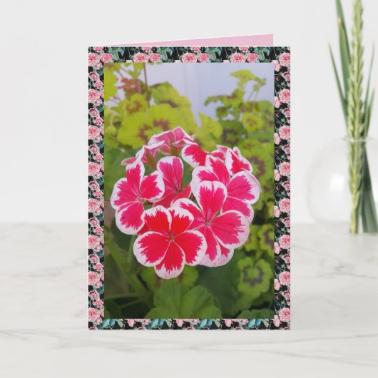 Geranium Pelargonium Blumengarten Karte (Vorderseite)
