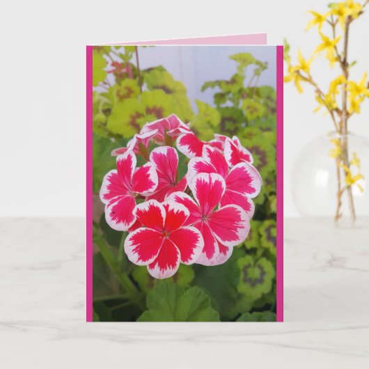 Geranium Pelargonium Blumengarten Karte (Gelbe Blume)
