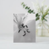 Geranium Postcard B&W Postkarte (Stehend Vorderseite)