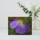 Geranium Postcard Postkarte (Stehend Vorderseite)
