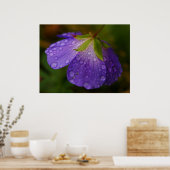 Geranium Poster (Küche)