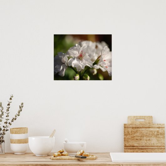 Geranium Poster (Küche)