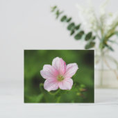 Geranium Postkarte (Stehend Vorderseite)