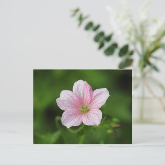 Geranium Postkarte (Stehend Vorderseite)