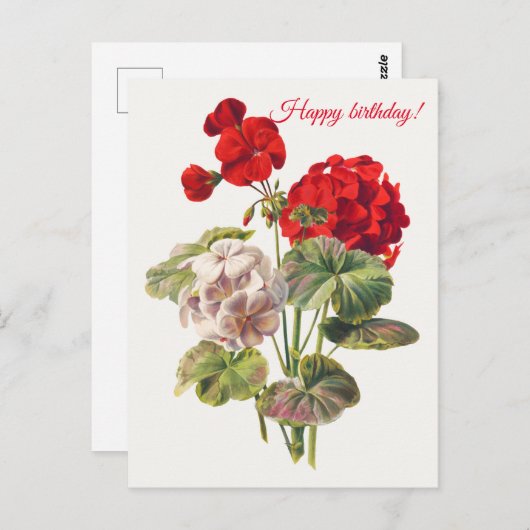 Geranium Postkarte (Vorne/Hinten)