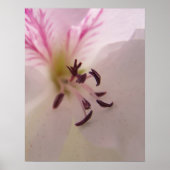 Geranium Print Poster (Vorne)