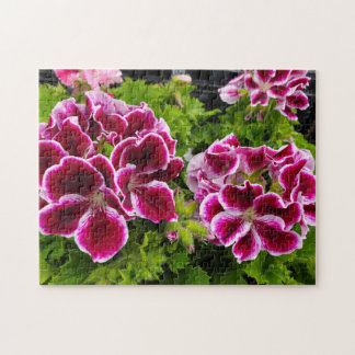 Geranium Puzzle