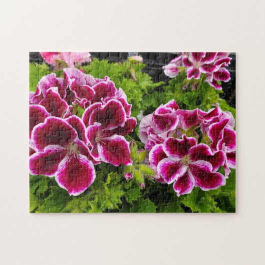 Geranium Puzzle (Horizontal)