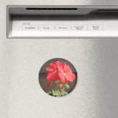 Geranium Red Magnet (In Situ (Geschirrspüler))