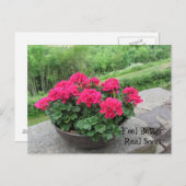 Geranium - Sich bald besser fühlen Postkarte (Vorne/Hinten)