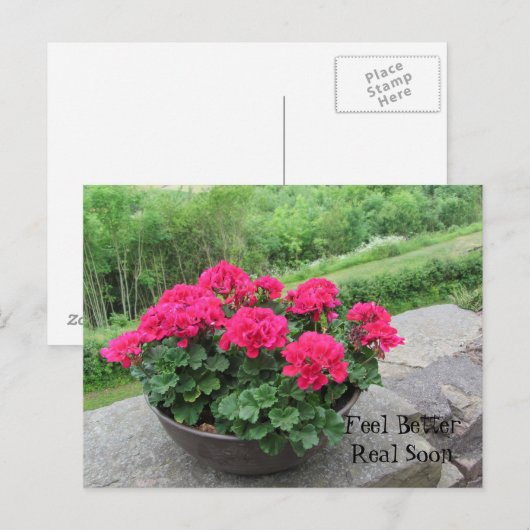 Geranium - Sich bald besser fühlen Postkarte (Vorne/Hinten)