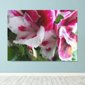 Geranium Stretched Canvas Print Leinwanddruck (Insitu (Holzboden))