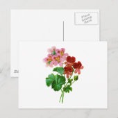 Geranium Variete von Pierre Joseph Redoute Postkarte (Vorne/Hinten)