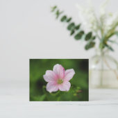 Geranium Visitenkarte (Stehend Vorderseite)