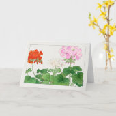 Geranium von Tanigami Konan Karte (Gelbe Blume)