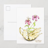 Geranium wildflower watercolor postkarte (Vorne/Hinten)