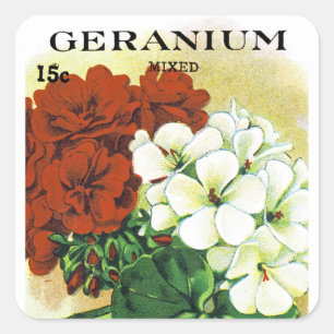 Geraniumverpackungssiegel Quadratischer Aufkleber