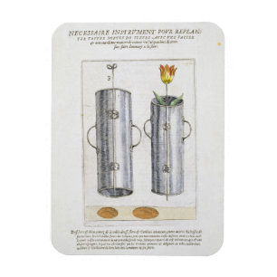 Gerät für die Wiedereinsetzung der Blumen, von Magnet