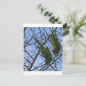 Geräusche Nachbarn Postkarte (Stehend Vorderseite)
