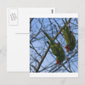 Geräusche Nachbarn Postkarte (Vorne/Hinten)