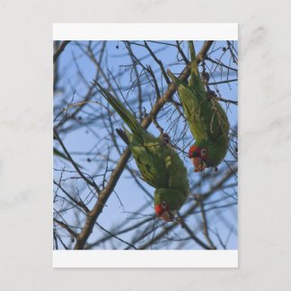 Geräusche Nachbarn Postkarte