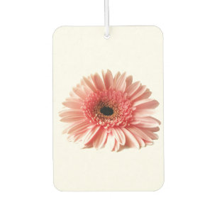 Gerbbera Autolufterfrischer
