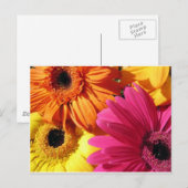 gerber-4 postkarte (Vorne/Hinten)