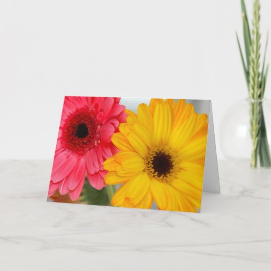 Gerber Daises Freundschaftsgrüßkarte Karte (Vorderseite)