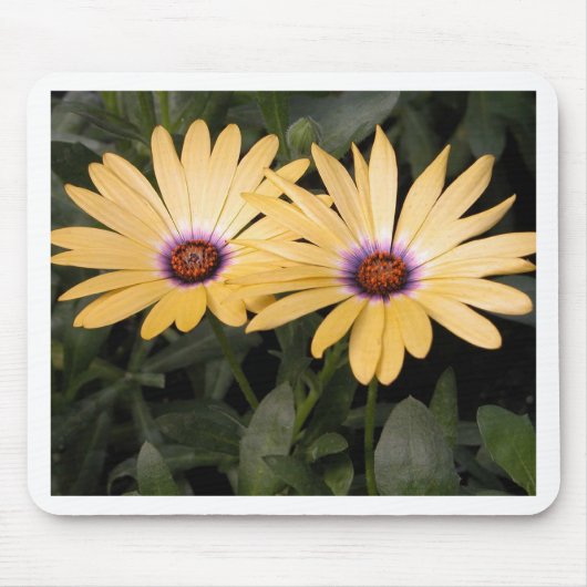 Gerber Daisey Mousepad (Vorne)