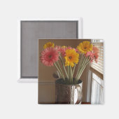 Gerber Daisies Magnet (Vorderseite/Rückseite)