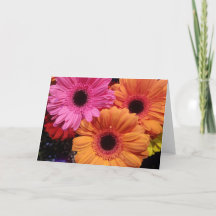 Gerber Daisies Orange Pink Note Card Set