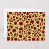 Gerber Daisies Postkarte (Vorne/Hinten)