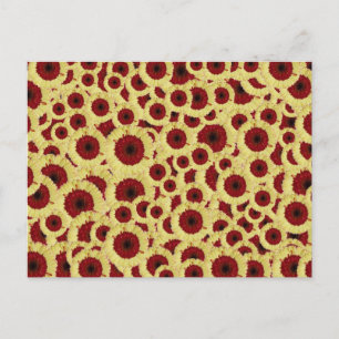 Gerber Daisies Postkarte