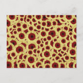 Gerber Daisies Postkarte (Vorderseite)