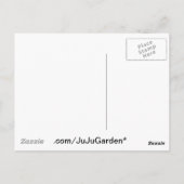 Gerber Daisies Postkarte (Rückseite)