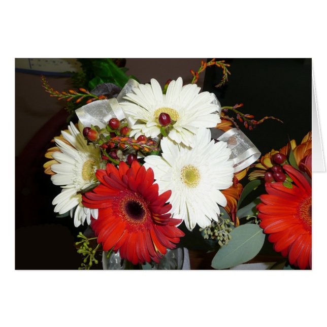 Gerber Daisy (Vorderseite (Horizontal))