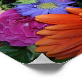 Gerber Daisy Arrangement Poster (Ecke)