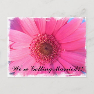 Gerber Daisy Einladung