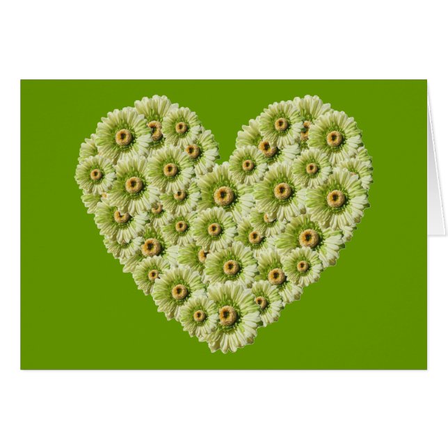 Gerber Daisy Heart (Vorderseite (Horizontal))