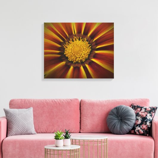 Gerber Daisy in Black Vignette Leinwand (Insitu (Wohnzimmer))