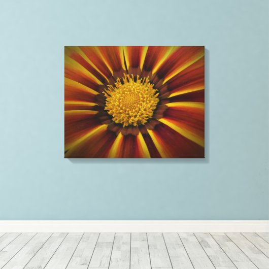 Gerber Daisy in Black Vignette Leinwand (Insitu (Holzboden))