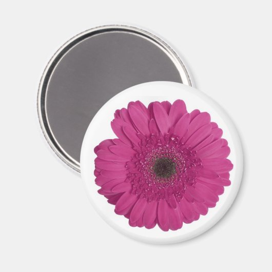 Gerber Daisy Magnet (Vorderseite/Rückseite)