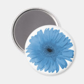 Gerber Daisy Magnet (Vorderseite/Rückseite)
