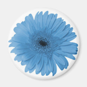 Gerber Daisy Magnet