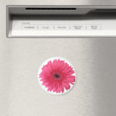 Gerber Daisy Magnet (In Situ (Geschirrspüler))